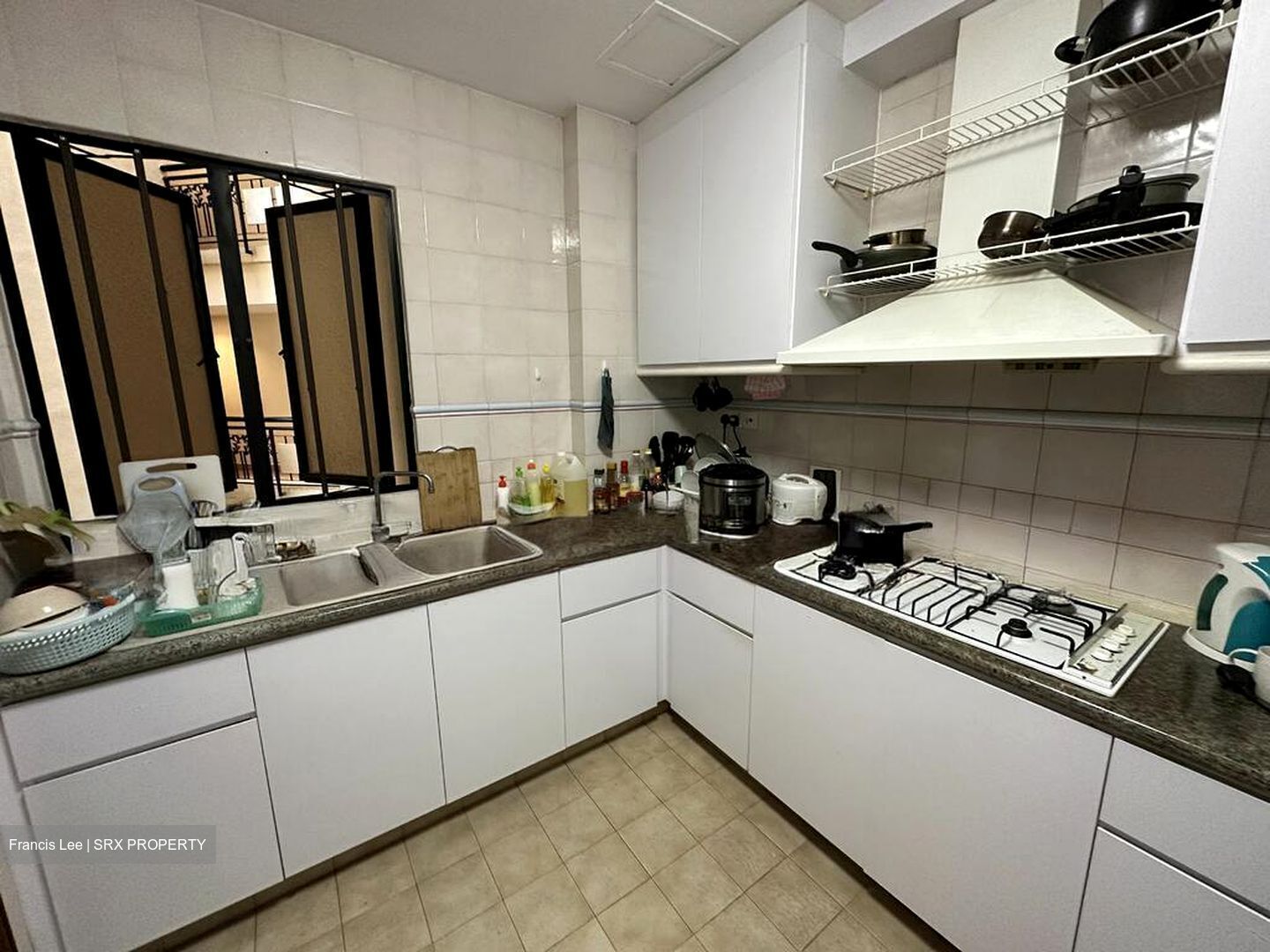 Dover Parkview (D5), Condominium #504303741